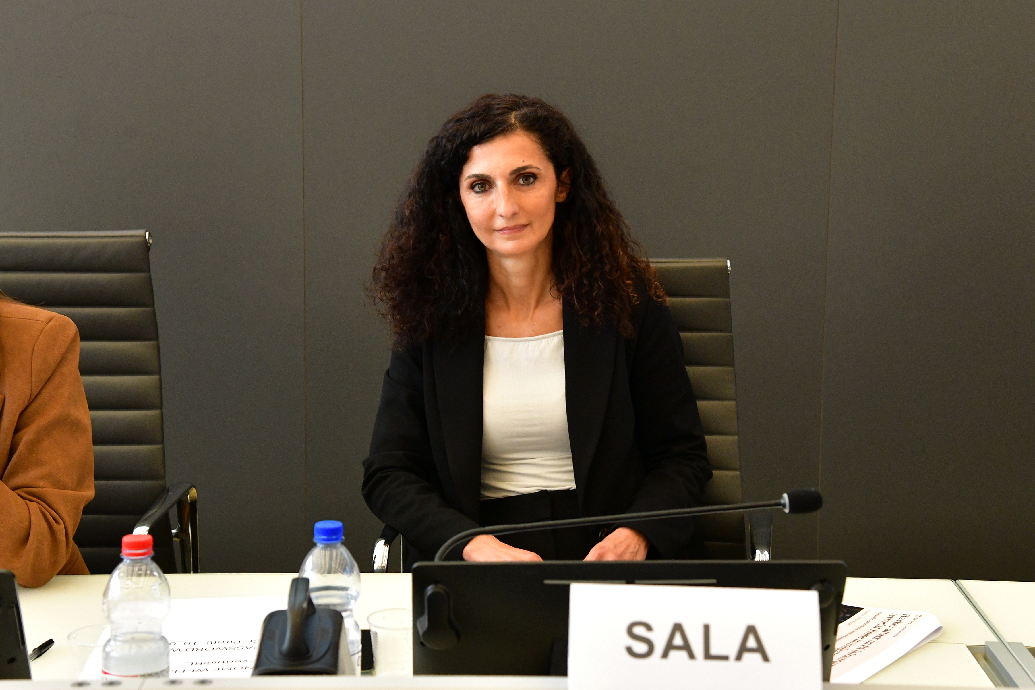 Vicepresidente Sala